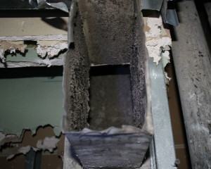 Mold Removal HVAC