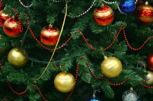  Christmas Trees Trigger Allergies This Season 