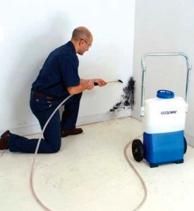 Mold Remediation